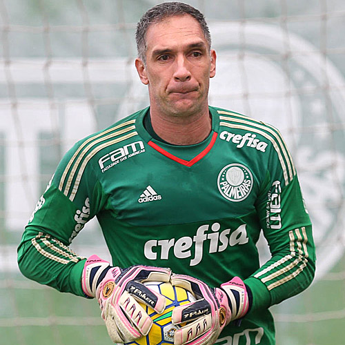 Fernando Prass durante treino do Palmeiras