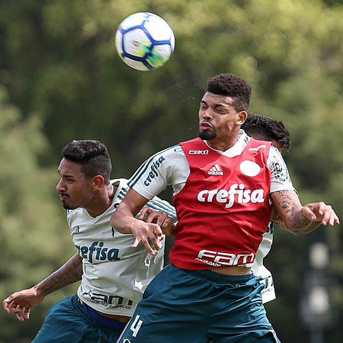 Antonio Carlos e Thiago Martins treinam no Palmeiras