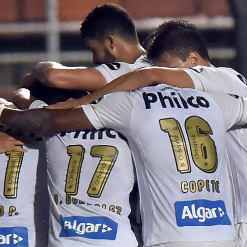 Jogadores do Santos comemoram gol sobre o Bugre