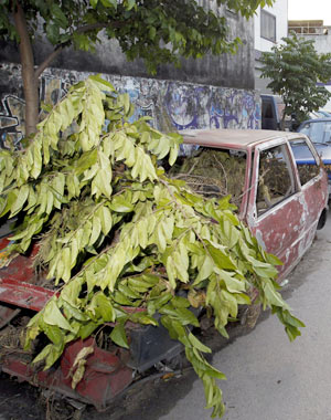 Flagra de carro abandonado na rua de So Paulo
