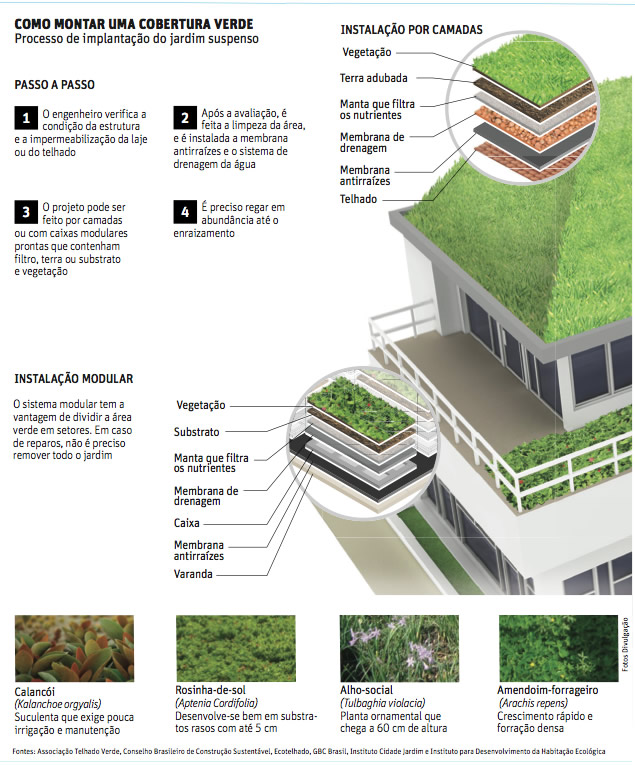 Arte - COMO MONTAR UMA COBERTURA VERDE Processo de implantao do jardim suspenso