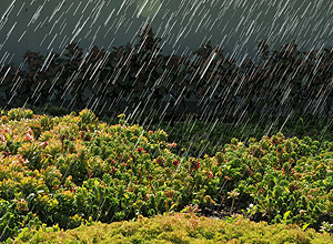 Telhado verde em Itu em dia chuvoso
