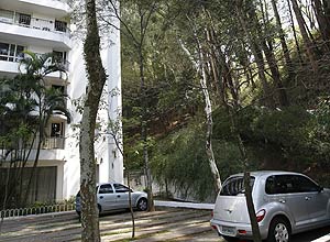 Para estacionar, carros driblam árvores protegidas por lei municipal em condomínio na Casa Verde, na zona norte de SP