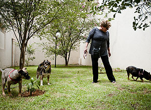 SAO PAULO, SP, BRASIL, 02 - 11 - 2011, 11:43: A aposentada Leila Sica, 62, com suas cadelas em area do condominio onde quer cobrir e reservar para caes.( Foto: Alessandro Shinoda/Folhapress, IMOVEIS)***EXCLUSIVO FOLHA***