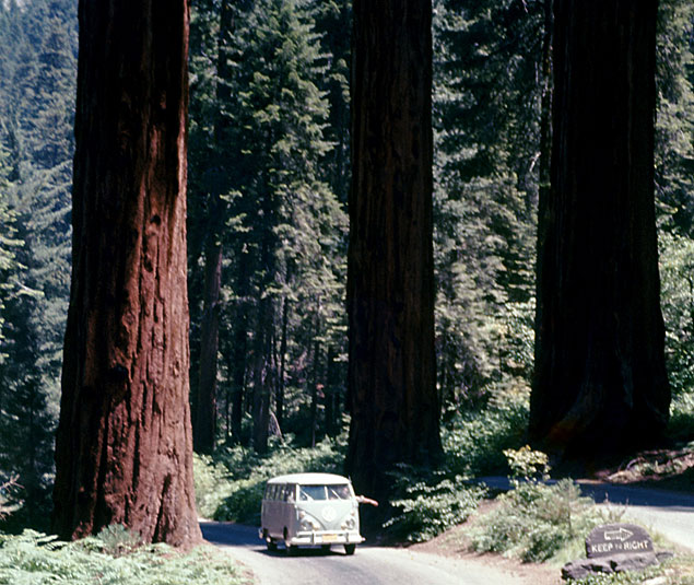 Kombi de Jos Freire Poli passeia entre as sequoias do parque Yosemite, nos EUA