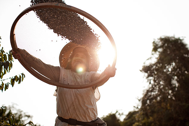 Agricultora peneira grãos de café em fazenda certificada pela ONG Imaflora