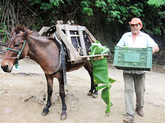 O agricultor Luiz Carlos Santana, da Agroprata, transporta alimentos orgnicos 