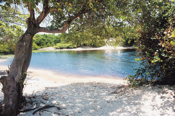 Trilhas e praias ainda intocadas
