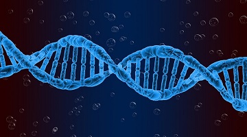 DNA  ferramenta para otimizar efeito de medicamentos