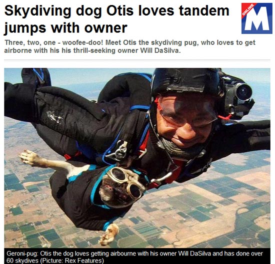  Read more: http://www.metro.co.uk/weird/872512-skydiving-dog-otis-loves-tandem-jumps-with-owner#ixzz1VDhsfngi