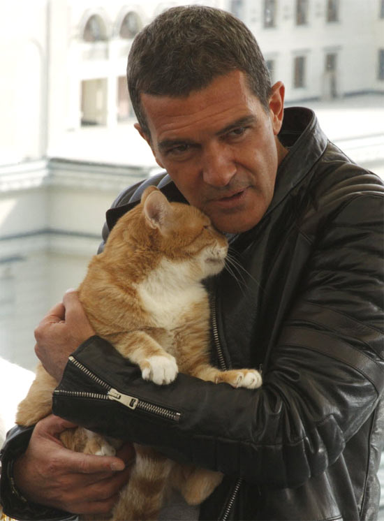 Antonio Banderas e gatinho durante lançamento do filme "Puss In Boots"