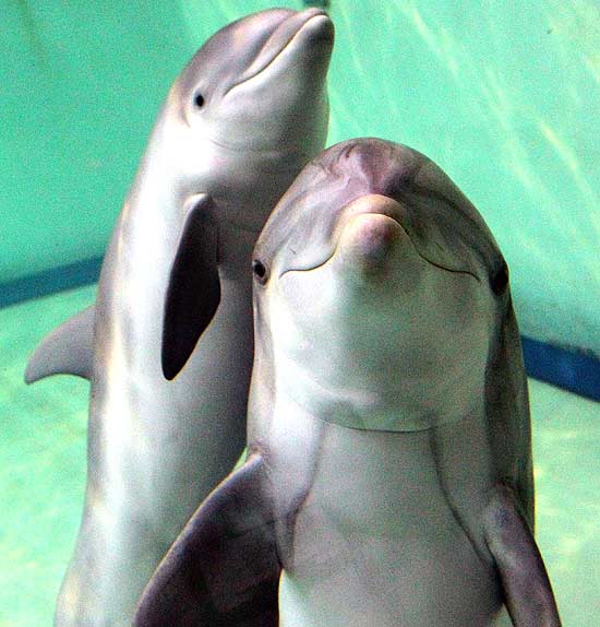 Mãe e filho parecem sorrir para a câmera