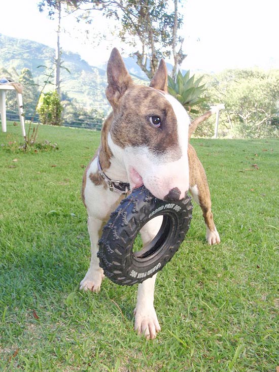 Zara Corleone prefere passear de carro a ir a pé