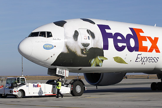 Avião ganha estampa gigante de panda