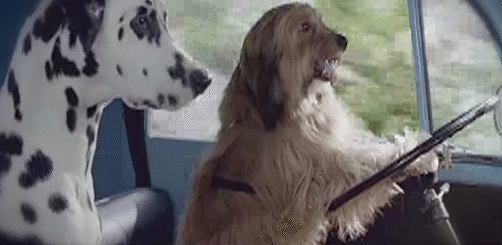 Comercial para cachorros estreia na TV britânica