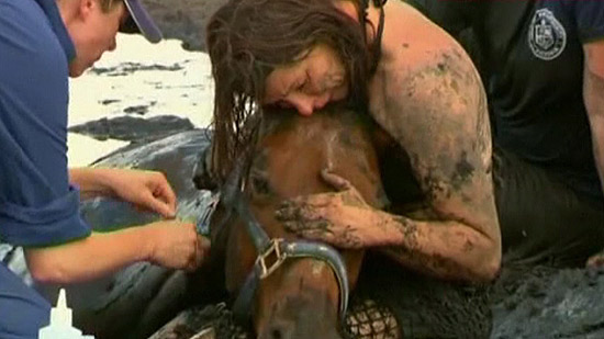 Cavalo é resgatado após horas preso na lama 