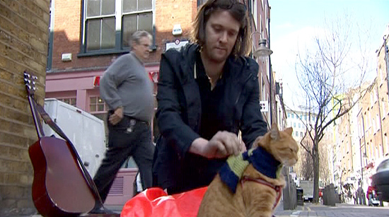 Adoção de gato transforma cantor de rua de Londres em escritor