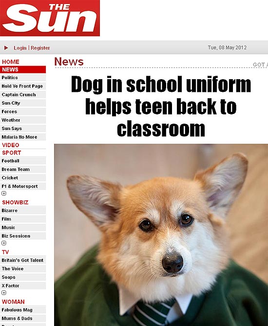 Reprodução do site do jornal "The Sun" com a cachorrinha Sally