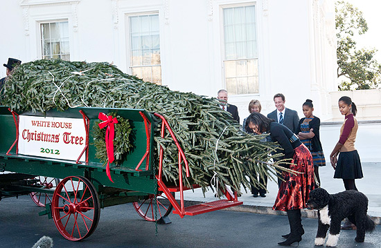 Michelle Obama cheira a árvore de Natal da Casa Branca