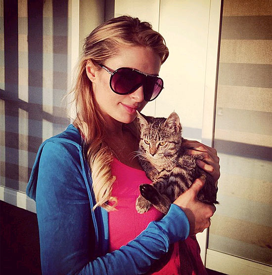 Paris Hilton com o gatinho, em Miami