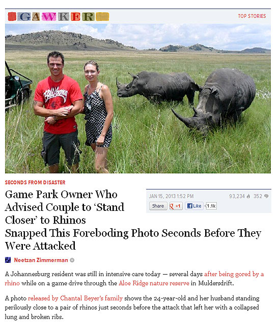 Casal é atacado por rinocerontes após posar para foto na África do Sul