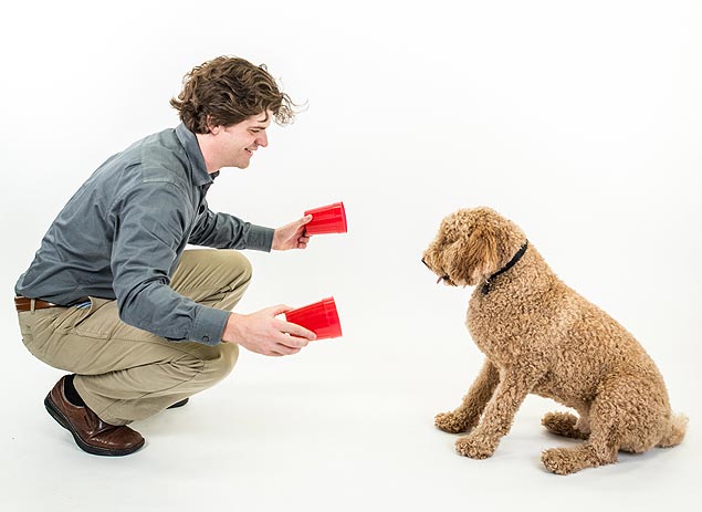 Brian Hare aplica teste em cão