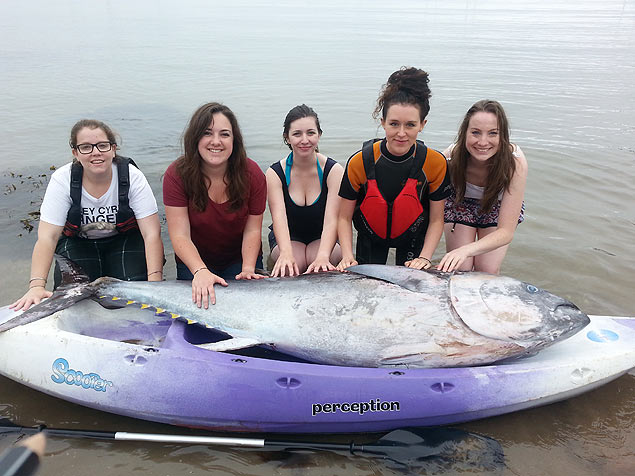 Bitnicas encontram atum gigante em passeio de caiaque