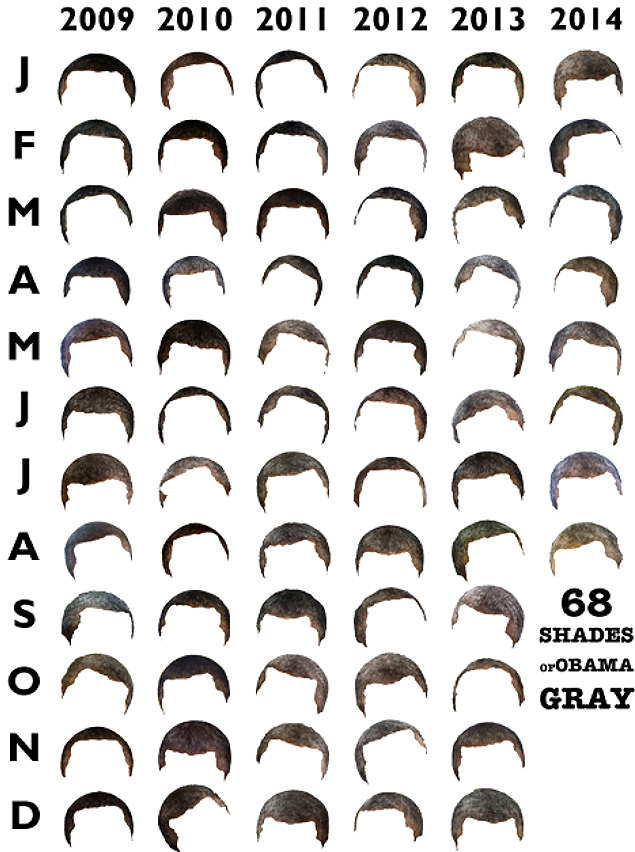 Escala tonal de grisalhos do cabelo de Barack Obama