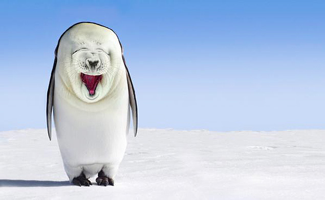 Artista cria "filhote" de pinguim com foca