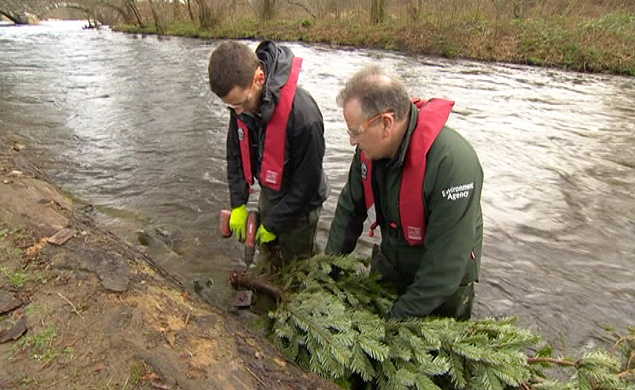 Ingleses usam árvores de Natal para conter enchentes