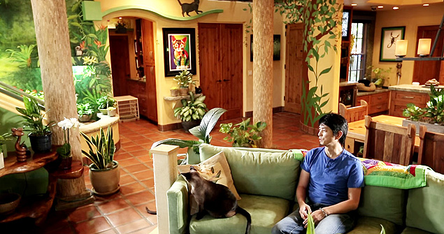 Casa de gatos --- Man Turns His House Into Indoor Cat Playland ---- https://www.youtube.com/watch?v=okOVxfuSYPk