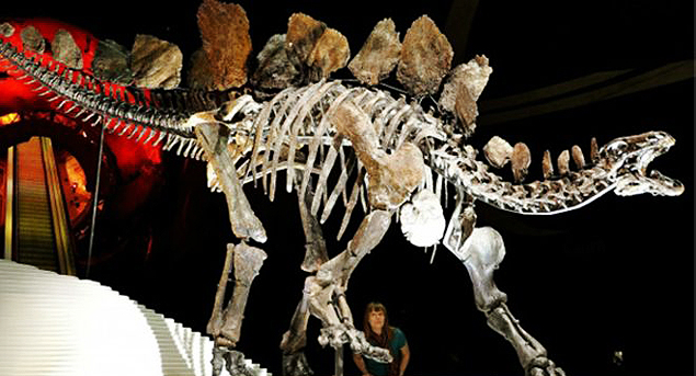 Cientistas britnicos determinaram que estegossauro pesava 1,6 tonelada e tinha o tamanho de um rinoceronte 