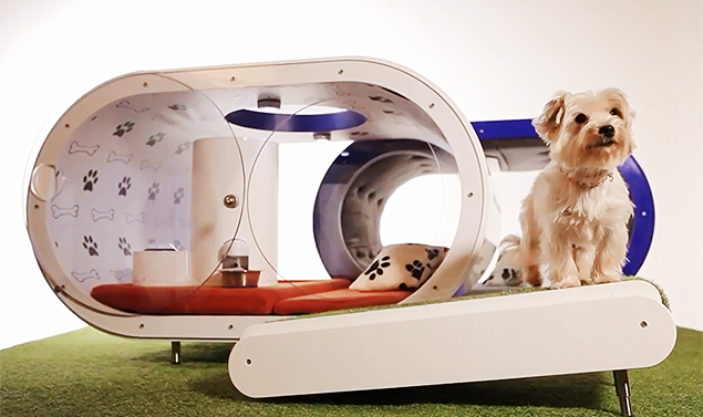 "Dream Doghouse", da Samsung, promete ser a casa dos sonhos da cachorrada
