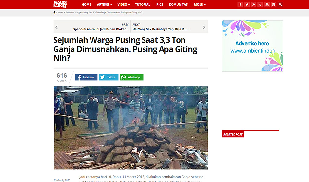 Polícia da Indonésia queima 3,3 toneladas de maconha e deixa a cidade chapada