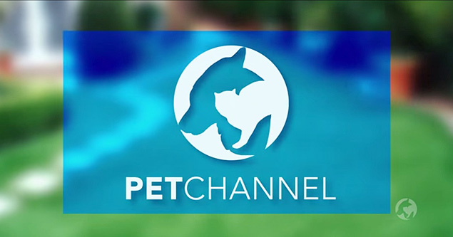 Pet Channel, novo canal de televisão