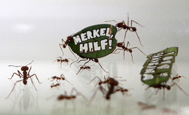 Ants carry a leaf with a slogan reading "Merkel, Help!", a reference of Angela Merkel, at the zoo in Cologne