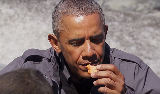 Obama come salmão cru mastigado por urso no reality show "Running Wild with Bear Grylls" 