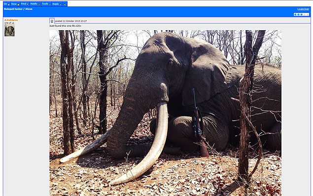 Foto publicada em fórum de caça de elefante que acredita-se ser o animal morto no Zimbábue
