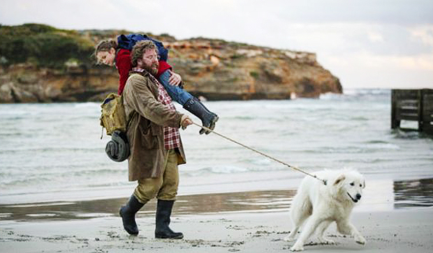Os cães que protegem pinguins do aniquilamento em ilha na Austrália