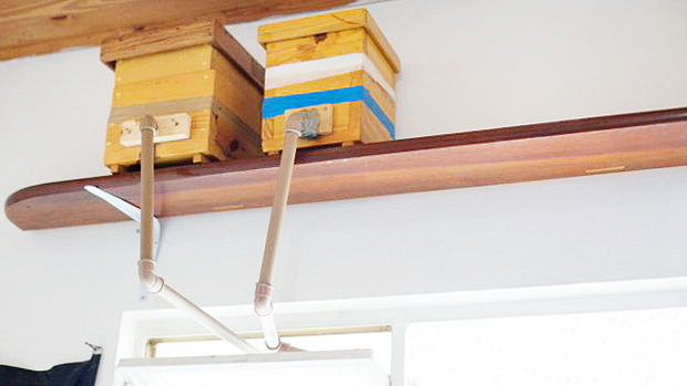 Apicultor amador criou instalou canos de PVC para permitir circulao de abelhas em apartamento