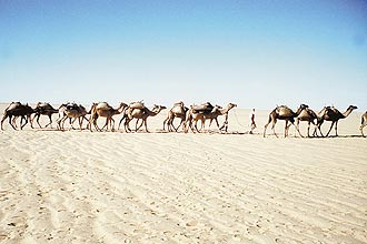 Rota do Sal, no deserto do Saara, norte africano; área deve ser utilizada por empresas alemãs para maior projeto de energia solar