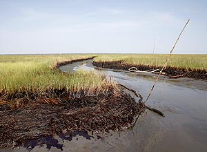 Vazamento de leo da BP foi o maior da histria dos EUA; na foto, prejuzo causado na costa do estado da Louisiana