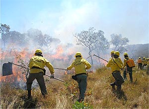 Ibama cria fora tarefa para gerenciamento e combate aos incndios florestais