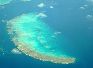 Grande Barreira de Corais (Austrlia), maior recife do mundo; cientistas acharam fssil que pode ter originado a barreira