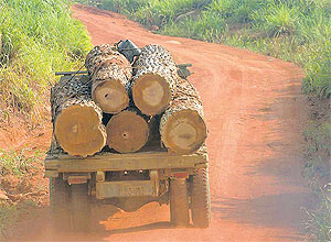 Caminho deixa rea de desmatamento em Rondnia, que perdeu 34 quilmetros quadrados de floresta