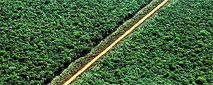 Environmental Setback in Brazil May End up Costing World US$ 5 Trillion, According to Study
