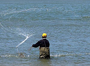 Redes de pesca de emalhe estavam proibidas em águas brasileiras desde 1998; liberação de uso é por 60 dias