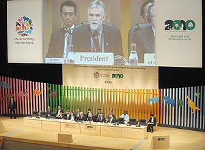 COP-10, no Japão, pretende fechar encontro mundial com plano estratégico para proteger biodiversidade até 2020 