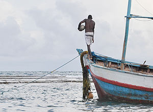 Cogesto entre governo, comunidades e pescadores teve maior resultado na pesca controlada, indica levantamento