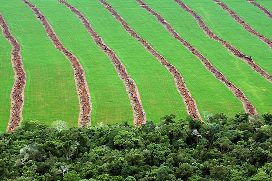 Vista aérea de desmatamento para expansão do cultivo de soja, em Nova Ubiratã, no Mato Grosso 